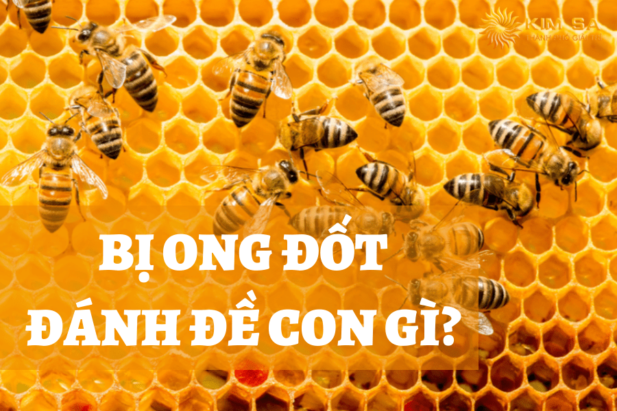 Bị ong đốt đánh đề con gì chuẩn nhất?